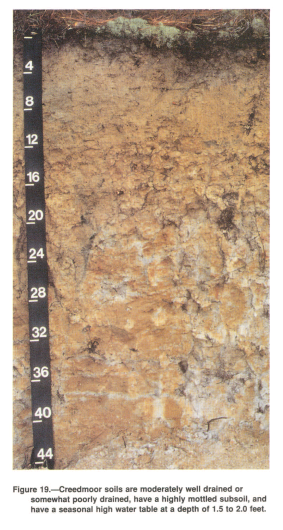 soil2image