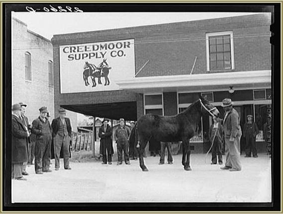 Creedmoor Supply Store