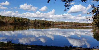 Lake Rogers Park Fall